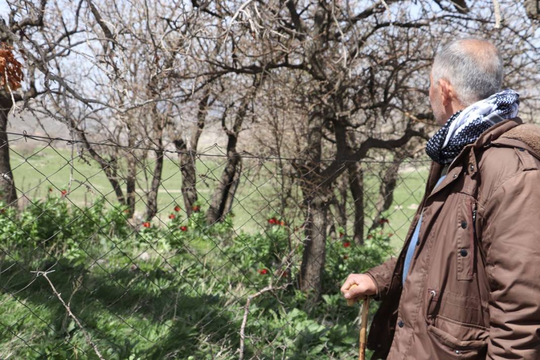 Bu insanlar neye bakıyor? Gece-gündüz nöbet tutuyorlar, ilk kez görenler şaştı kaldı! 3